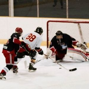 Meet your Posher, Bradley